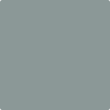 grey hount
