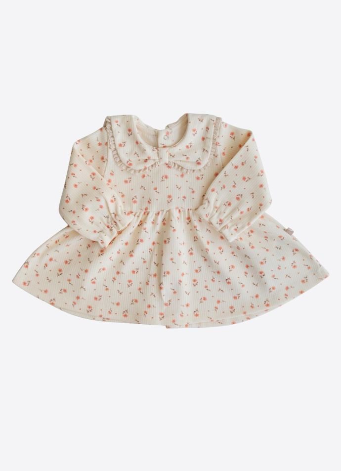 Kitikate 8684198184623