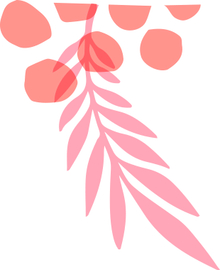 shape
