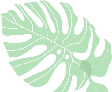 shape